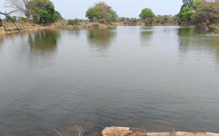 नहरों से सूखते तालाबों में जलभराव:भीषण गर्मी से बड़ी राहत, 4755 तालाब हुए लबालब
