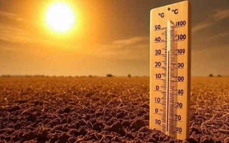 भीषण गर्मी का कहर, रतलाम देश का चौथा सबसे गर्म शहर; पारा 46.5 डिग्री पर पहुंचा
