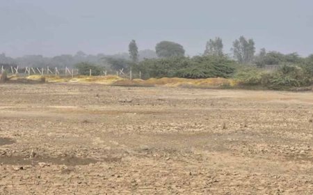 जाजमऊ के पानी से क्रोमियम हटाने वाली नई फफूंदी खोजी गई