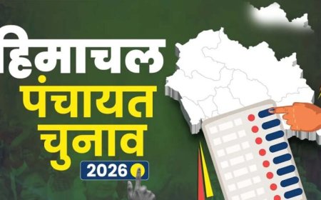 हिमाचल पंचायत चुनाव से पहले बसों पर टकराव: HRTC बोला- एडवांस पेमेंट दो, तभी मिलेंगी 400 बसें