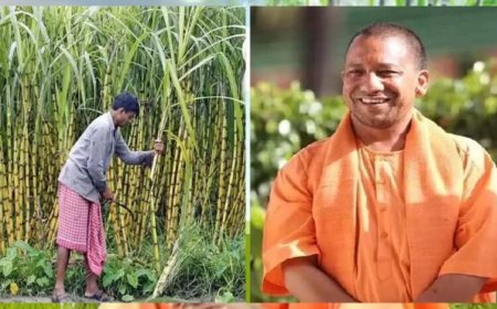 उत्तर प्रदेश ने गन्ना किसानों को किया 3.21 लाख करोड़ रुपये से अधिक का भुगतान