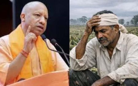 फसल और पशुधन नुकसान पर किसानों के साथ खड़ी योगी सरकार