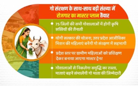 गो संरक्षण के साथ-साथ बड़ी संख्या में रोजगार का मास्टर प्लान तैयार