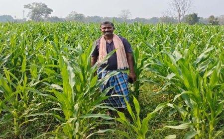 संघर्ष से समृद्धि-  नक्सल मुक्त क्षेत्रों में आधुनिक खेती से कृषक गोपाल एर्रागोला ने रची सफलता की नई इबारत