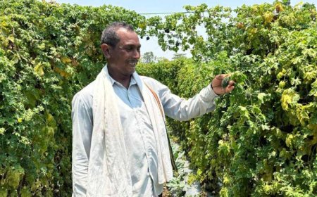 वाटरशेड योजना बनी किसान छबी लाल की समृद्धि का आधार