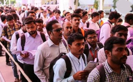 22 मई को लगेगा मेगा रोजगार मेला: 2347 पदों पर युवाओं को मिलेगा नौकरी का मौका