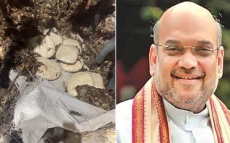 ऑपरेशन RAGEPILL में बड़ा एक्शन, NCB ने 182 करोड़ की ‘जिहादी ड्रग्स’ पकड़ी