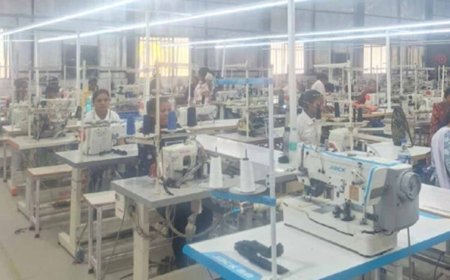 पुनर्वास से आत्मनिर्भरता की ओर : बीजापुर की महिलाओं के सपनों को मिल रहे नए पंख