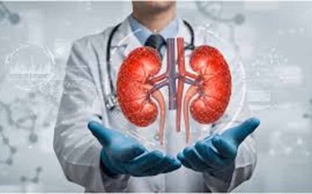 लखनऊ PGI में खुलासा: किडनी मरीजों में 80% से ज्यादा को हाई ब्लड प्रेशर
