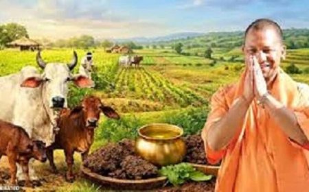 यूपी में गोशालाएं बनेंगी रोजगार का नया केंद्र, IIT कानपुर की तकनीक से तैयार होगा जैविक खाद
