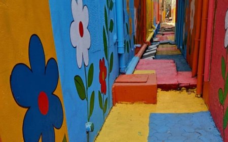 भोपाल में कभी भी पहुंच सकती है स्वच्छ सर्वेक्षण टीम, शहरभर में सफाई और सौंदर्यीकरण अभियान तेज