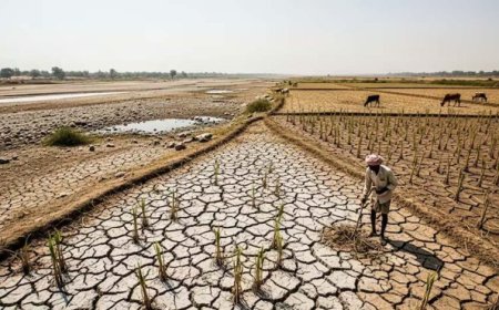 मानसून से पहले बड़ा खतरा! 75 साल की सबसे गंभीर चेतावनी से करोड़ों लोगों की बढ़ी चिंता