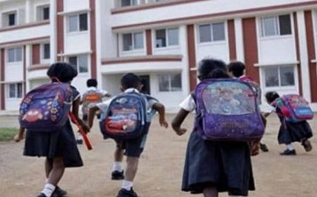 गर्मी की छुट्टियों में स्कूल खोलना पड़ा भारी, DPI ने कार्रवाई के दिए सख्त निर्देश