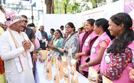 सुशासन तिहार में हितग्राहियों से आत्मीय संवाद: योजनाओं के लाभ से बदलती जिंदगी की तस्वीर देख मुख्यमंत्री हुए प्रसन्न