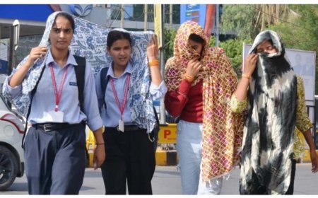 MP में भीषण गर्मी का कहर, 4 जिलों में रेड अलर्ट; पारा 46 डिग्री के पार संभव