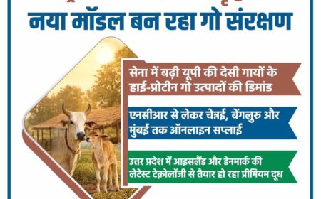 राष्ट्रशक्ति और आर्थिक समृद्धि का नया मॉडल बन रहा गो संरक्षण