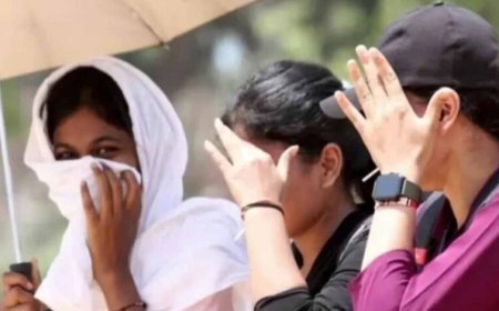दिल्ली-NCR में भीषण गर्मी का कहर, 28 मई तक लू का ऑरेंज अलर्ट जारी