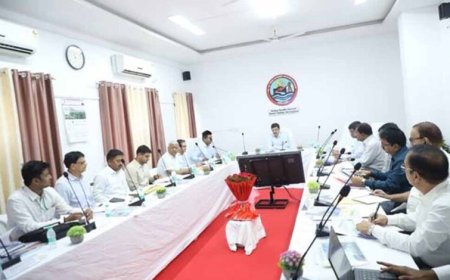 केन्द्रीय ऊर्जा सचिव  अग्रवाल ने की आरडीएसएस कार्यों की समीक्षा