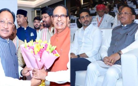 ‘अपनापन’ के विमोचन समारोह में शामिल हुए मुख्यमंत्री विष्णुदेव साय