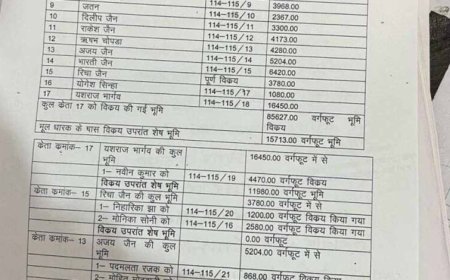 चिल्ड्रन पार्क की जमीन पर कब्जा, 22 टुकड़ों में बेचकर बना दी अवैध कॉलोनी
