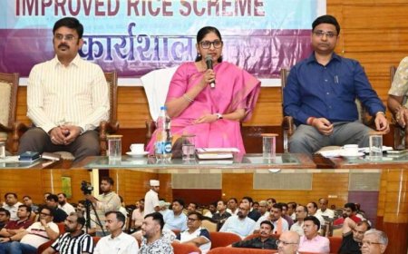 छत्तीसगढ़ में ‘इम्प्रूव्ड राईस स्कीम’ लागू करने की तैयारी तेज