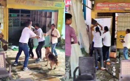 लखनऊ में बिजली चोरी पकड़ने पहुंचे JE पर हमला, बेलचे से पीटा फिर छोड़ा पालतू कुत्ता