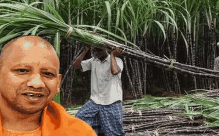 उत्तर प्रदेश ने गन्ना किसानों को किया 3.22 लाख करोड़ रुपये से अधिक का ऐतिहासिक भुगतान