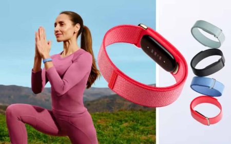 बिना स्क्रीन वाला नया फिटनेस बैंड: Fitbit Air बना चर्चा का केंद्र