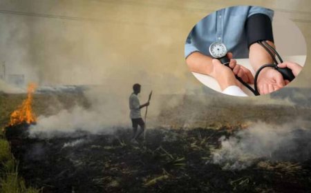 प्रदूषण बढ़ा रहा हाई ब्लड प्रेशर का खतरा, नई स्टडी में खुलासा