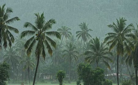 केरल में मॉनसून की रफ्तार धीमी, मौसम विभाग ने बताई देरी की वजह