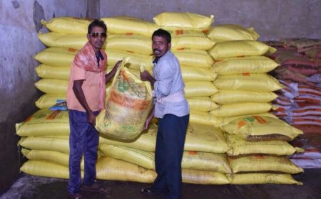 खरीफ में धान सहित दलहन-तिलहन फसलों में परम्परागत खाद के साथ वैकल्पिक खाद एवं नैनो यूरिया व डीएपी के उपयोग को दिया जा रहा बढ़ावा