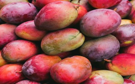Japan Mango Ban: जापान ने भारतीय आमों पर लगाया बैन, जानिए वहां किस आम की सबसे ज्यादा डिमांड