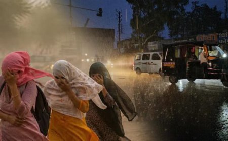 नौतपा में बदला मौसम का मिजाज! MP में आंधी-तूफान और ओलावृष्टि का अलर्ट, कई जिलों में बारिश