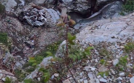 चंबा के साच पास में दर्दनाक हादसा: टैक्सी खाई में गिरी, चालक समेत 8 पर्यटकों की मौत