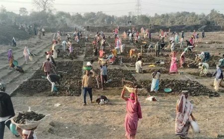 “जल संरक्षण के साथ मिल रहा बंपर रोजगार, मोर गांव, मोर तरिया” अभियान से संवर रहे ग्रामीण क्षेत्र