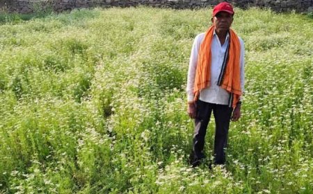 महासमुंद के किसान रतिराम की बदली किस्मत, धनिया की खेती से बढ़ी आमदनी
