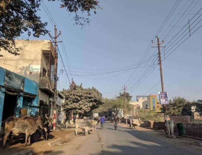 वृंदावन परिक्रमा मार्ग में अतिक्रमण हटाया गया, श्रद्धालुओं को राहत