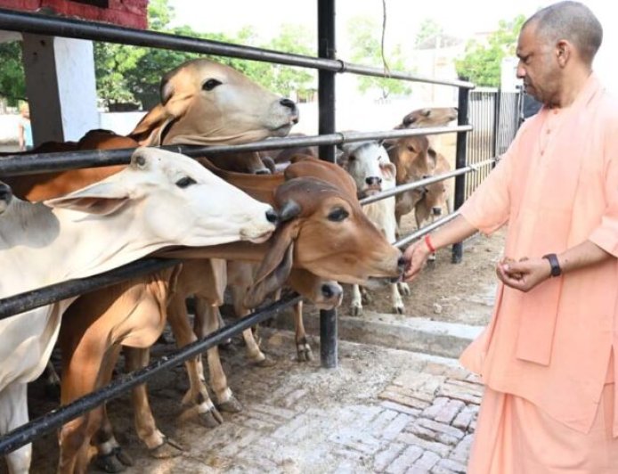 सीएम योगी के निर्देश पर चार बड़ी महत्वाकांक्षी योजनाएं पूरे प्रदेश में लागू, ग्रामीण अर्थव्यवस्था को मिलेगी नई ताकत