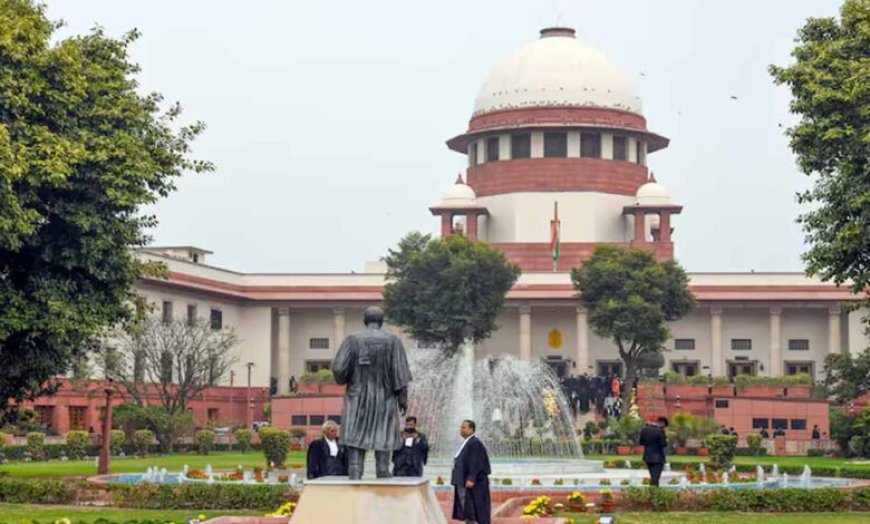 सरकार को कानून बनाने के लिए मजबूर नहीं कर सकते, सुप्रीम कोर्ट का बड़ा बयान