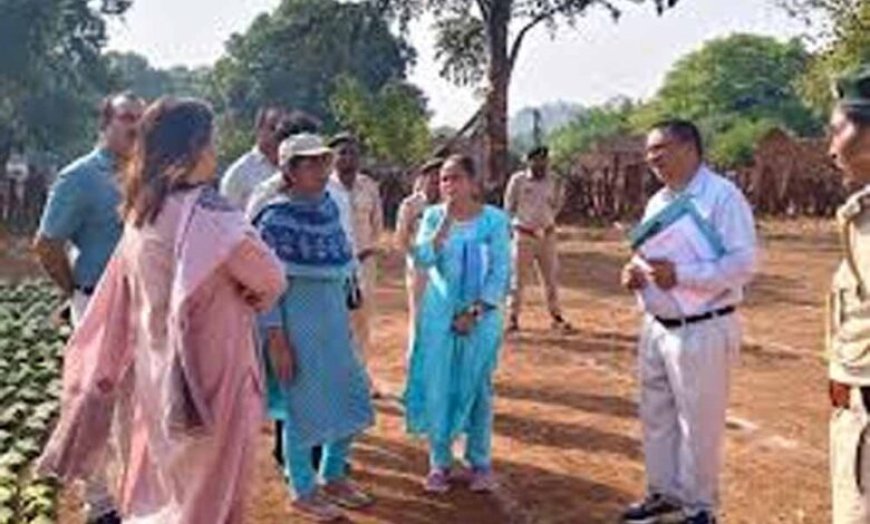 तेंदूपत्ता लक्ष्य पर प्रशासन सख्त: वन अधिकारियों ने फड़ों का किया औचक निरीक्षण