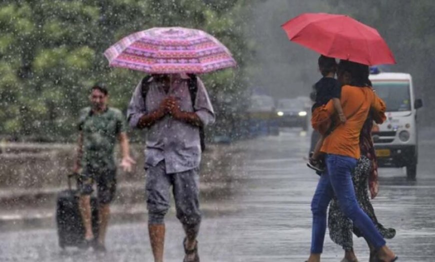 MP के 8 जिलों में बारिश का अलर्ट, 30-40 किमी/घंटा की रफ्तार से आंधी; भोपाल-इंदौर में तेज गर्मी जारी