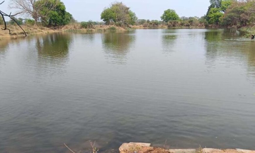 नहरों से सूखते तालाबों में जलभराव:भीषण गर्मी से बड़ी राहत, 4755 तालाब हुए लबालब