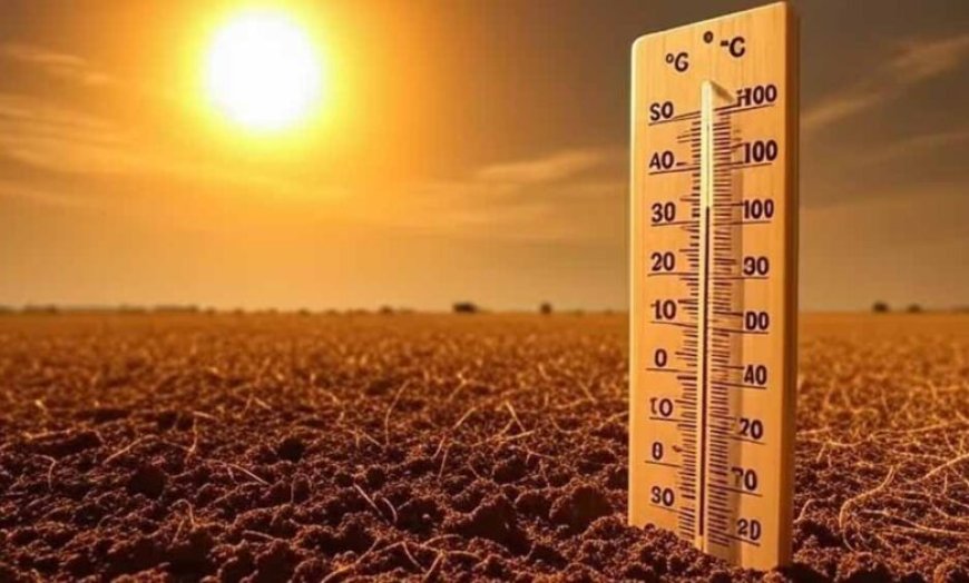 भीषण गर्मी का कहर, रतलाम देश का चौथा सबसे गर्म शहर; पारा 46.5 डिग्री पर पहुंचा