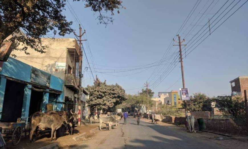 वृंदावन परिक्रमा मार्ग में अतिक्रमण हटाया गया, श्रद्धालुओं को राहत