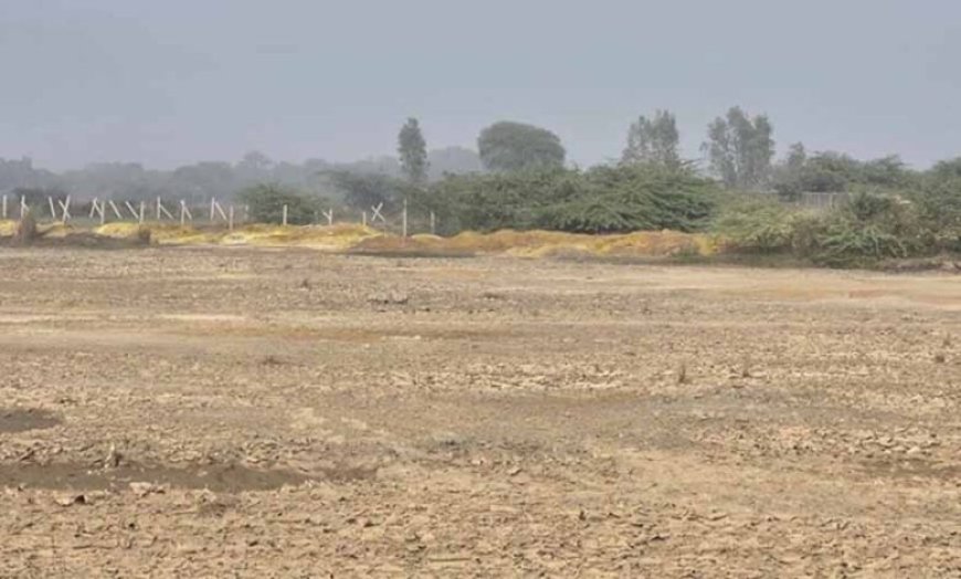 जाजमऊ के पानी से क्रोमियम हटाने वाली नई फफूंदी खोजी गई