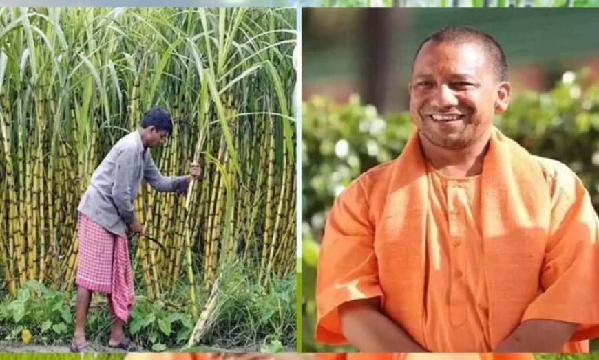 उत्तर प्रदेश ने गन्ना किसानों को किया 3.21 लाख करोड़ रुपये से अधिक का भुगतान