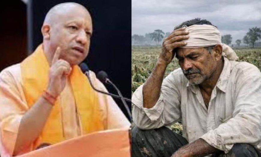 फसल और पशुधन नुकसान पर किसानों के साथ खड़ी योगी सरकार