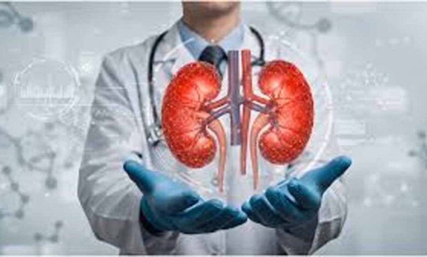 लखनऊ PGI में खुलासा: किडनी मरीजों में 80% से ज्यादा को हाई ब्लड प्रेशर