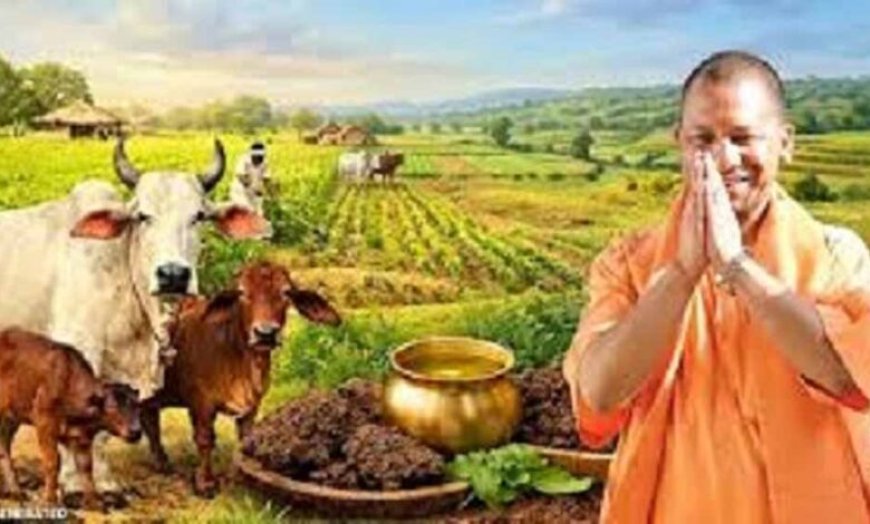 यूपी में गोशालाएं बनेंगी रोजगार का नया केंद्र, IIT कानपुर की तकनीक से तैयार होगा जैविक खाद
