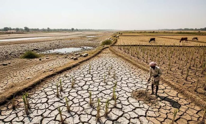 मानसून से पहले बड़ा खतरा! 75 साल की सबसे गंभीर चेतावनी से करोड़ों लोगों की बढ़ी चिंता